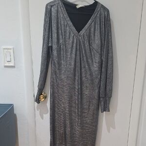 Elegant Silver Long Sleeve Dress